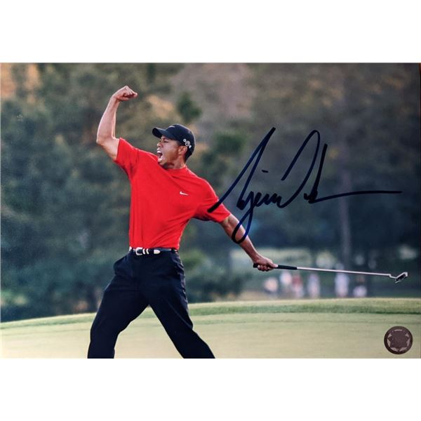 Tiger Woods Signed Photo. GFA