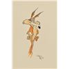 Image 1 : Virgil Ross Wile E Coyote Hand Drawn Signed Sketch