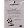 Image 3 : Toy Story Cast Signed Movie Photo