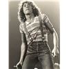 Image 1 : The Who Roger Daltrey Signed Photo