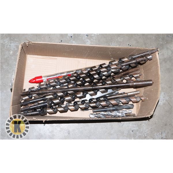 LARGE LOT OF ASSORTED DRILL BITS