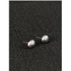 Image 1 : Pair Of Real Grey Pearl Stud Earrings