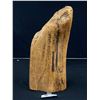 Image 1 : 15" Tall Signed First Nations Haidagwiil Carving
