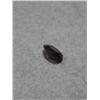 Image 2 : 2.30ct Rhodolite Gemstone