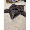 Image 2 : Bear