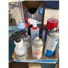 Image 1 : Assorted cleaners used and garbs bags