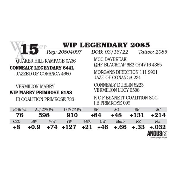 WIP LEGENDARY 2085