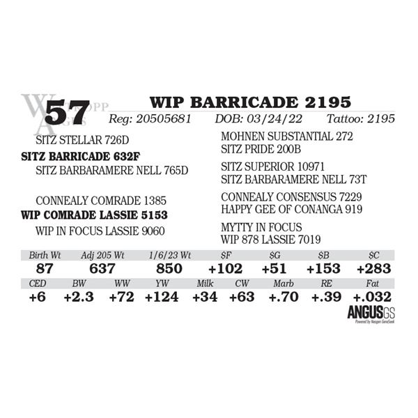 WIP BARRICADE 2195