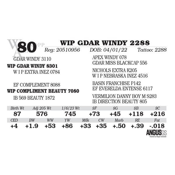 WIP GDAR WINDY 2288