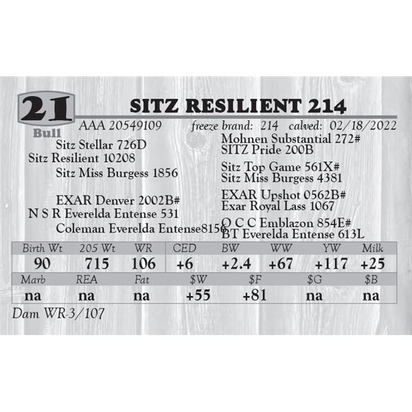 SITZ RESILIENT 214
