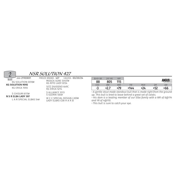 NSR SOLUTION 427