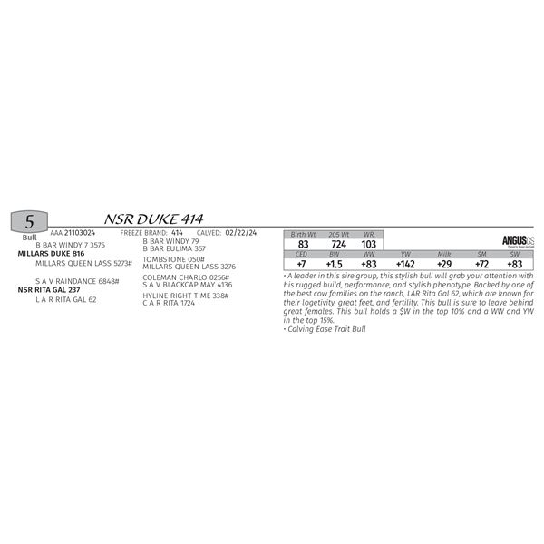 NSR DUKE 414