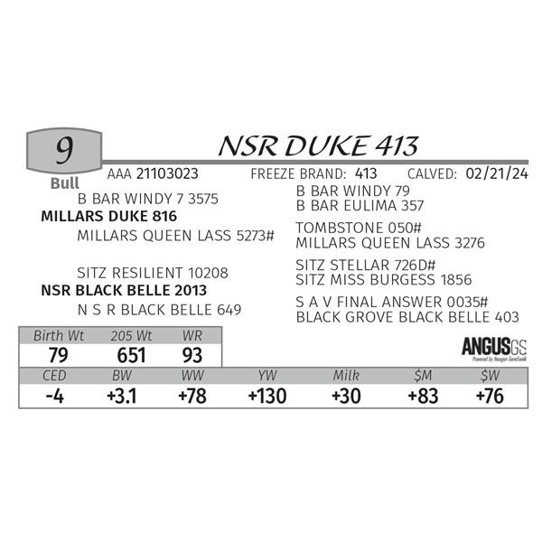 NSR DUKE 413