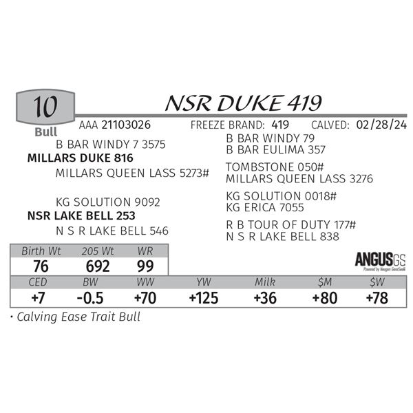 NSR DUKE 419