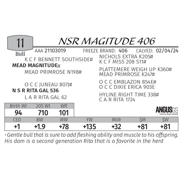 NSR MAGITUDE 406