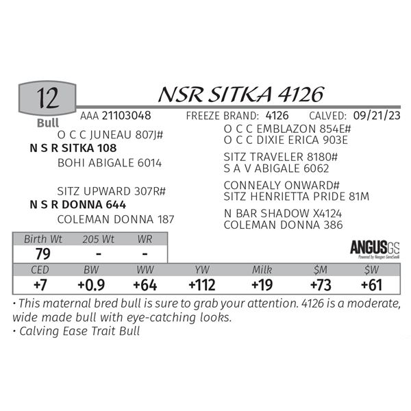 NSR SITKA 4126