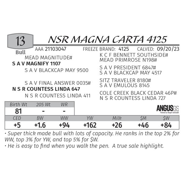 NSR MAGNA CARTA 4125