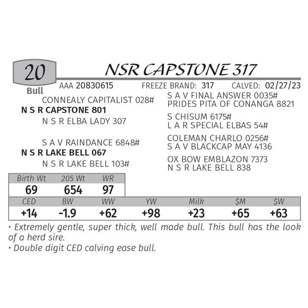 NSR CAPSTONE 317