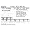 Image 1 : NSR CAPSTONE 317
