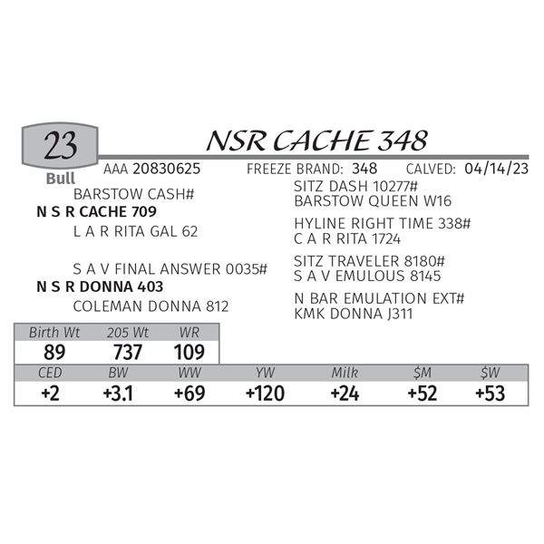 NSR CACHE 348