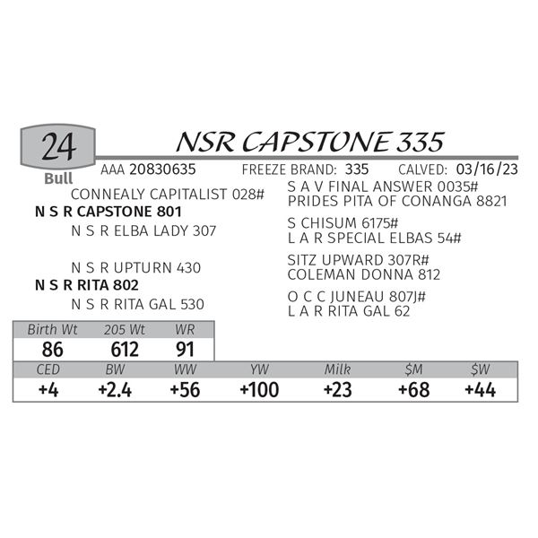 NSR CAPSTONE 335