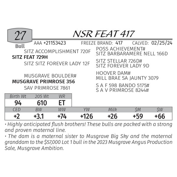 NSR FEAT 417