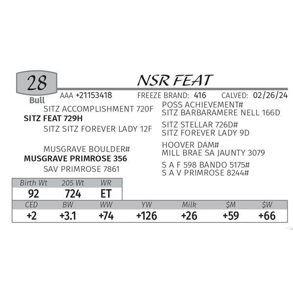NSR FEAT
