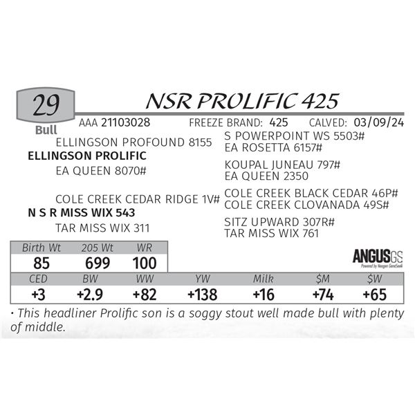 NSR PROLIFIC 425