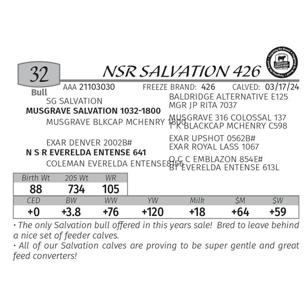 NSR SALVATION 426