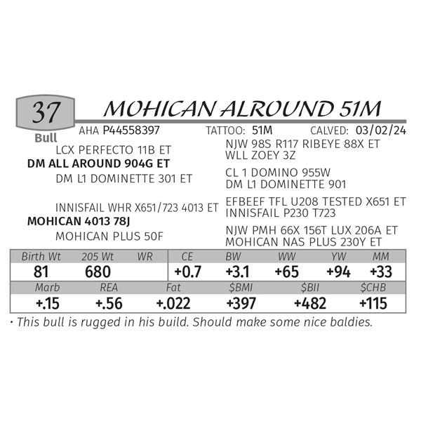 MOHICAN ALROUND 51M