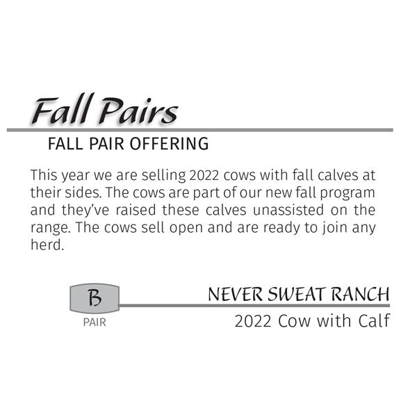 2022 Black White Face Cow w/Heifer