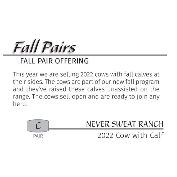 2022 Black Angus Cow w/Heifer