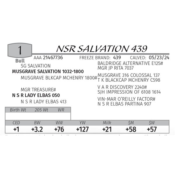 NSR SALVATION 439 - SELLS CHOICE WITH LOT 2