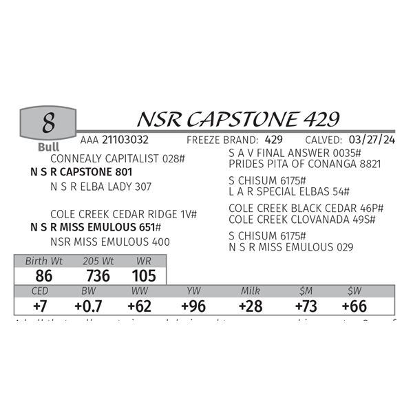 NSR CAPSTONE 429