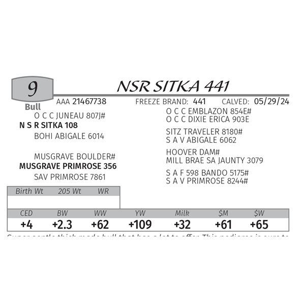 NSR SITKA 441