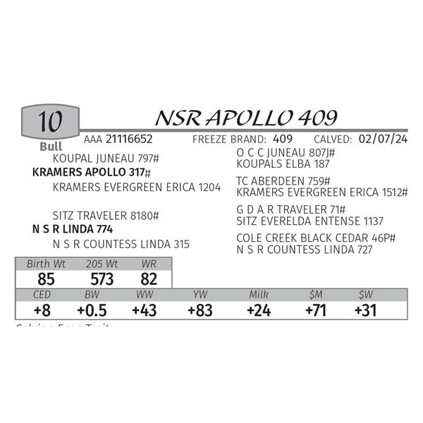 NSR APOLLO 409