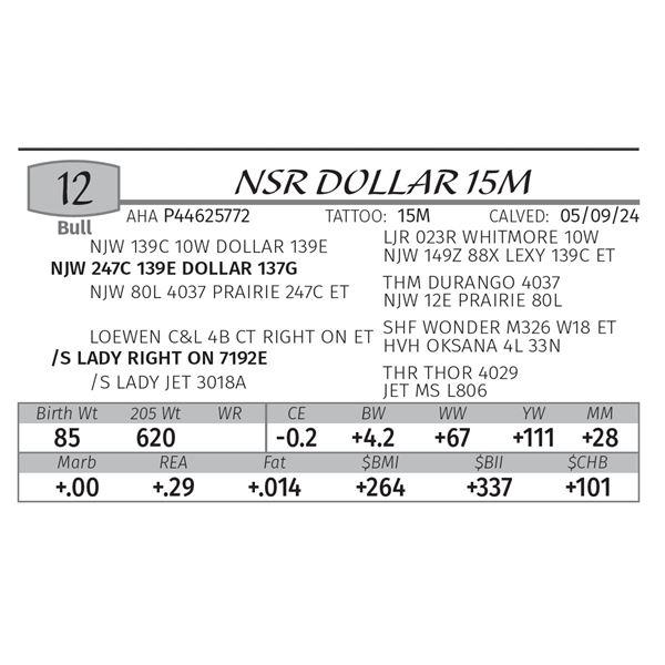 NSR DOLLAR 15M