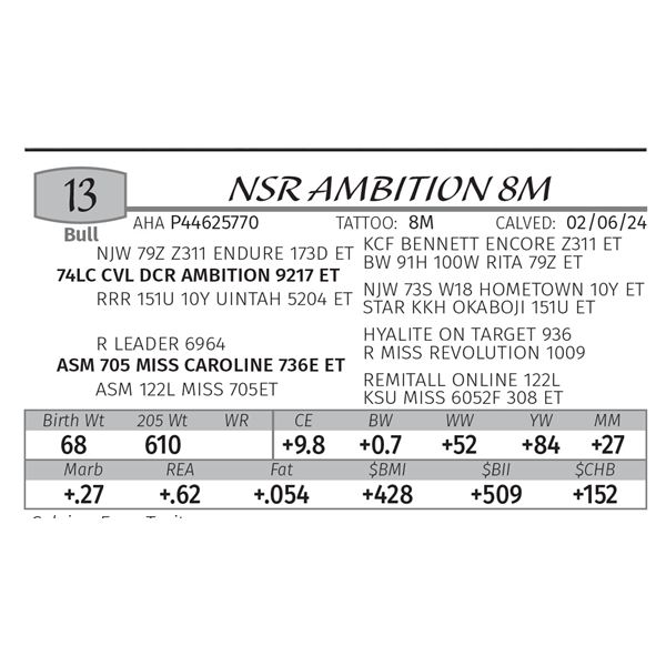 NSR AMBITION 8M