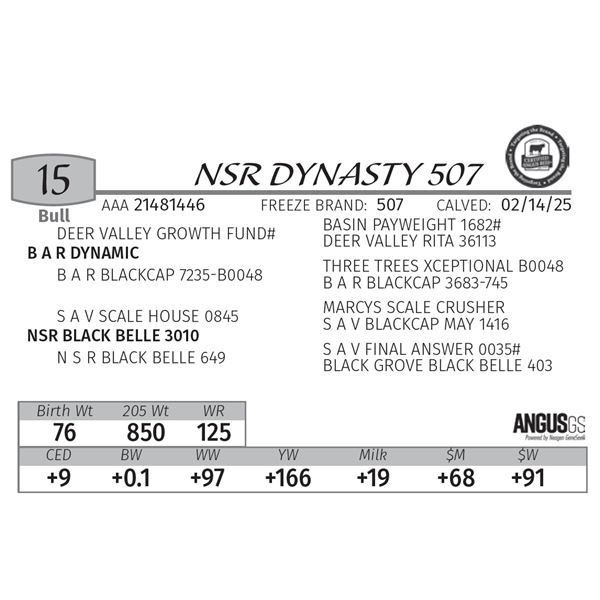 NSR DYNASTY 507