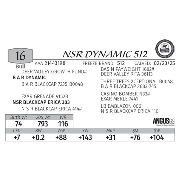 NSR DYNAMIC 512