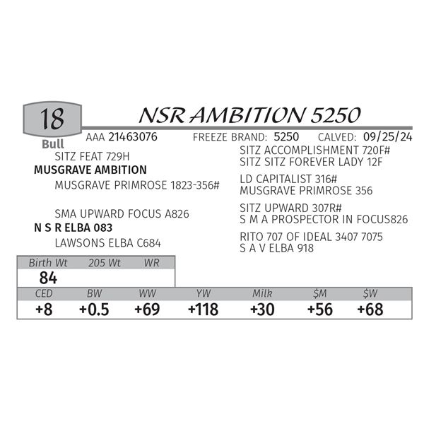 NSR AMBITION 5250