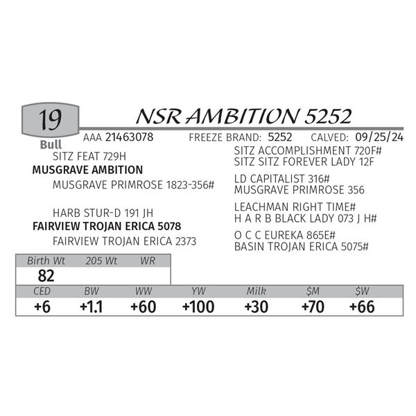 NSR AMBITION 5252
