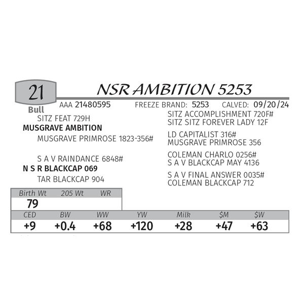 NSR AMBITION 5253