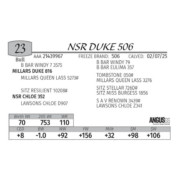 NSR DUKE 506