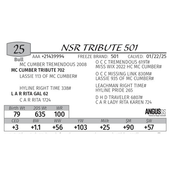 NSR TRIBUTE 501