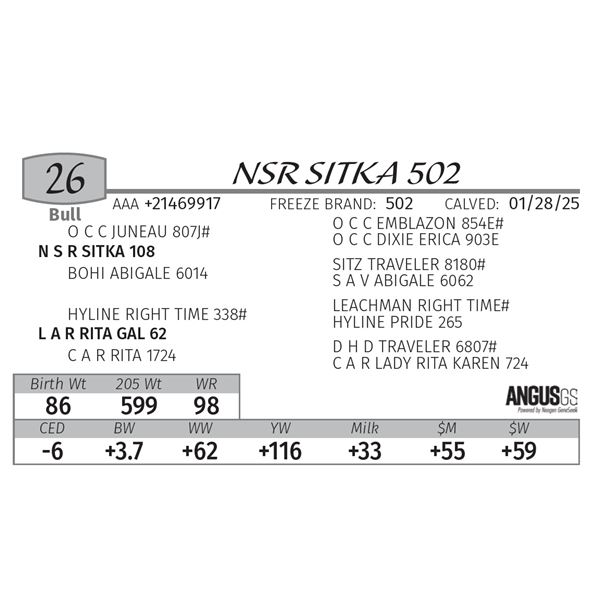 NSR SITKA 502