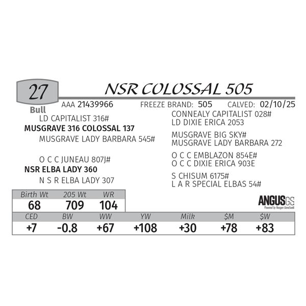 NSR COLOSSAL 505
