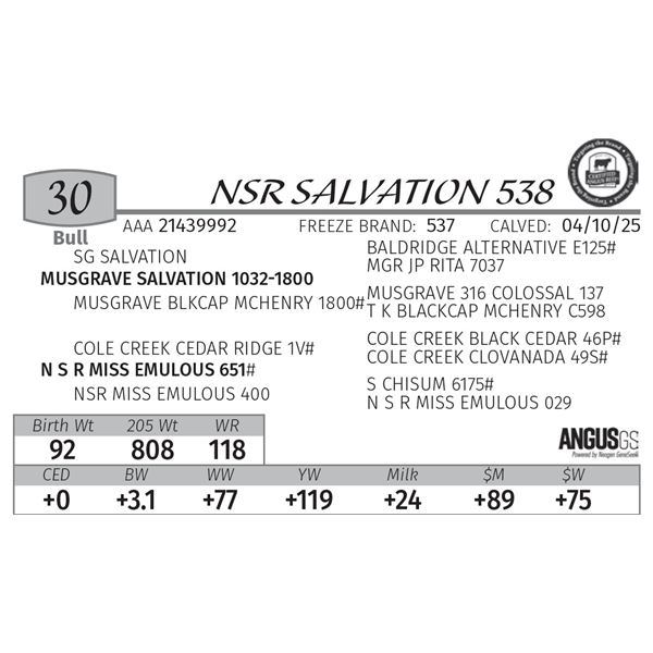 NSR SALVATION 538