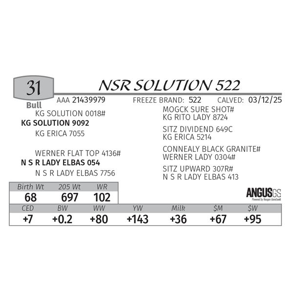 NSR SOLUTION 522