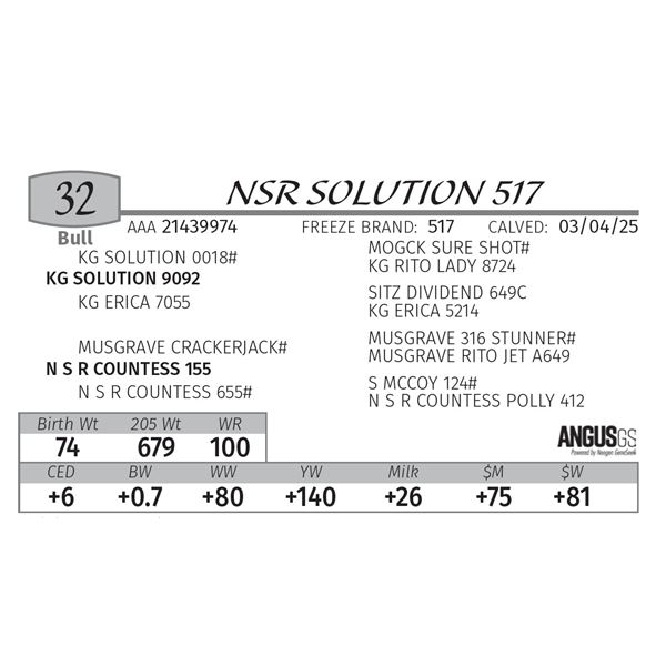 NSR SOLUTION 517